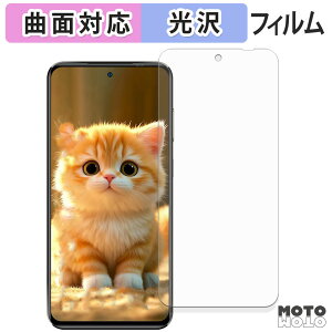 �ی�t�B���� OUKITEL C68 Plus ( ���C���f�B�X�v���C ) �t�B���� �ȖʑΉ� ����d�l ���{��