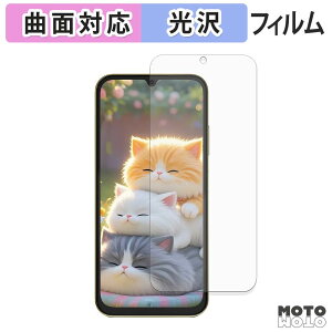 �ی�t�B���� FOSSiBOT S7 ( ���C���f�B�X�v���C ) �t�B���� �ȖʑΉ� ����d�l ���{��