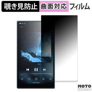 180�x �`�����h�~ �t�B����FIIO JM21 ������ �ی�t�B���� �u���[���C�g�J�b�g �ȖʑΉ� �A���`�O���A ���{��