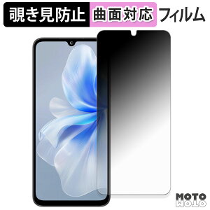 180�x �`�����h�~ �t�B���� FOSSiBOT S2 �ی�t�B���� �u���[���C�g�J�b�g �ȖʑΉ� �A���`�O���A ���{��