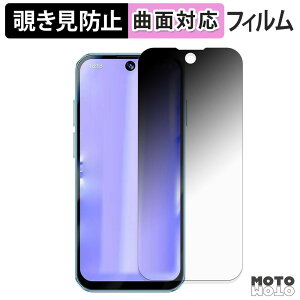 �y�|�C���g2�{�z 180�x �`�����h�~ �t�B���� SOYES XS19 Pro �ی�t�B���� �u���[���C�g�J�b�g �ȖʑΉ� �A���`�O���A ���{��