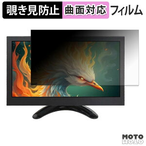 180�x �`�����h�~ �t�B���� VSDISPLAY VS-H9008 �u���[���C�g�J�b�g �ȖʑΉ� �A���`�O���A ���{��