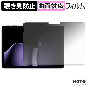 �y���������}���\���|�C���g2�{�z 180�x �`�����h�~ �t�B���� Microsoft Surface Pro 12 �C���` ( ��2���� ) �u���[���C�g�J�b�g �ȖʑΉ� ����d�l ���{��