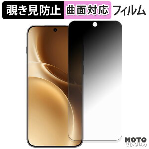 �y�|�C���g2�{�z 180�x �`�����h�~ �t�B���� vivo X300 Pro �ی�t�B���� �u���[���C�g�J�b�g �ȖʑΉ� ����d�l ���{��