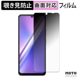 �y8/11 1:59�� �|�C���g2�{�z 180�x �`�����h�~ �t�B���� DOOGEE M30 �ی�t�B���� �u���[���C�g�J�b�g �ȖʑΉ� ����d�l ���{��