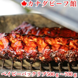 バックリブ スペアリブ 骨付き肉 塊肉 バーベキュー BBQ キャンプ 食材 熟成・ベイビーバックリブ(500g-700g台) 母の日 お取り寄せグルメ お取り寄せ グルメ