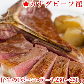 ステーキ 肉 tボーンステーキ ヒレステーキ ヒレ肉 牛肉 ヒレ ステーキ肉 赤身 骨付き肉 贈り物 ギフト お祝い プレゼント BBQ 食材 キャンプ 冷凍食品 食品 仔牛のTボーンステーキ約230～250g 母の日 お取り寄せグルメ お取り寄せ グルメ