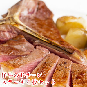 Xe[L ʌ eT{[Xe[L2Zbg T{[Xe[L qXe[L  q Ԑg t ؂ Xe[L 蕨 Mtg j v[g BBQ H Lv ⓀHi 