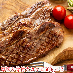 tJr t t  Jr o[xL[  BBQ Lv H ⓀHi 񂹃O  O nE؂荜tJr@500g