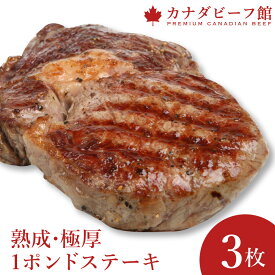 【11日1時59分まで10,870円→9,780円】 【ご好評につき特別セット継続中】 ステーキ 肉 牛肉 赤身 ステーキ肉 バーベキュー 食材 熟成肉 贈り物 ギフト お祝い プレゼント 食材 冷凍食品 1ポンドステーキ3枚セット お取り寄せ グルメ