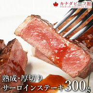 【1,000円OFFクーポン 17日9時59分まで】 ステーキ 肉 ギフト サーロインステーキ ステーキ肉 赤身 熟成…