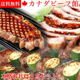 楽天市場 バーベキュー 肉の通販