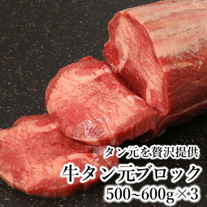 牛タン ブロック 牛タン元 業務用 塊肉 500〜600g台 牛タンステーキ タンシチュー 焼き肉 牛たん 焼肉 ギュウタン BBQ 食材 キャンプ 贈り物 ギフト 冷凍食品 お取り寄せグルメ お取り寄せ グル
