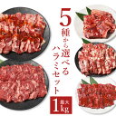 【30日9時59分まで4,980円→4,480円】 ハラミ 1kg 焼肉 焼き肉 焼肉セット 母の日 お取り寄せグルメ バーベキュー 食材 牛ハラミ 肉 バーベキュー BBQ 牛肉 食材 はらみ 冷凍食品 最大1kg組み合わせ自由！5種から選べるはらみセット