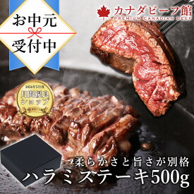 【先着100名様限定10％OFFクーポン配布中】 ハラミ 焼肉セット バーベキュー 肉 BBQ キャンプ 食材 バーベキューセット ハラミステーキ500g お取り寄せグルメ お取り寄せ グルメ