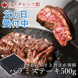 【5月20日限定 ポイント2倍】 ハラミ 焼肉セット バーベキュー 肉 BBQ キャンプ 食材 バーベキューセット ハラミステーキ500g お取り寄せグルメ お取り寄せ グルメ