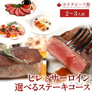 fBi[Zbg  R[X j fBi[ Xe[L  y؃Zbg y y؃Zbg 񂹃O Xe[LHה׃R[X Ε Ε