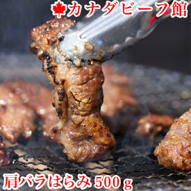 ハラミ カルビ 焼肉 焼き肉 バーベキュー 肉 食材 BBQ キャンプ あす楽 贈り物 ギフト お祝い プレゼント 冷凍食品 肩バラはらみ500g 母の日 お取り寄せグルメ お取り寄せ グルメ