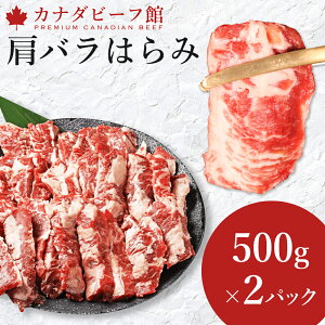 n~ Jr ē Ă o[xL[  H BBQ Lv y 蕨 Mtg j v[g ⓀHi o͂500g 񂹃O  O