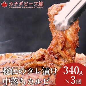 Jr ē Ă o[xL[  Jr BBQ H Lv j v[g ⓀHi 񂹃O  O yfIJbgJi_r[tEf`VX