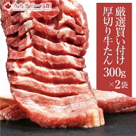 【26日1時59分まで5,490円→4,980円】 牛タン 厚切り焼肉セット 牛たん 肉厚 訳あり ギフト 塩味 味付き …