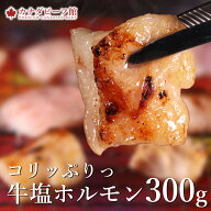 牛 塩ホルモン 300g ホルモン おつまみ ギアラ アカセンマイ BBQ バーベキュー 焼肉 焼き肉 冷凍 冷凍食…