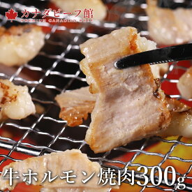 【26日1時59分まで1,000円→800円】 牛ホルモン焼肉 300g 冷凍食品 焼き肉 ホルモン 牛肉 お取り寄せグルメ お取り寄せ グルメ