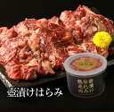 肉 福袋 ギフト 焼肉 焼き肉 バーベキュー 食材 バーベキューセット BBQ 冷凍食品 壺漬けはらみ 母の日 お取り寄せグルメ お取り寄せ グルメ