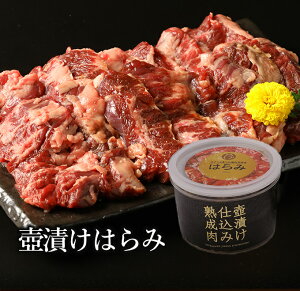  Mtg ē Ă o[xL[ H o[xL[Zbg BBQ ⓀHi Ђ͂ 񂹃O  O