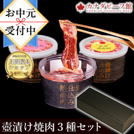 【先着100名様限定10％OFFクーポン配布中】 お中元 夏ギフト 焼肉 焼肉セット 肉 プレゼント 食べ物 福袋焼き肉 バーベキュー 食材 バーベキューセット お取り寄せグルメ BBQ 3〜4人前 冷凍食品 壺漬け焼肉セット お取り寄せ ギフト