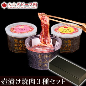 焼肉 焼肉セット 肉 プレゼント 食べ物 福袋焼き肉 バーベキュー 食材 バーベキューセット お取り寄せグルメ BBQ 3〜4人前 冷凍食品 壺漬け焼肉セット 新春 お取り寄せ ギフト