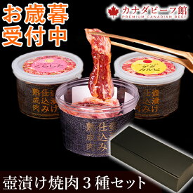 【10％OFFクーポン配布＆ポイント5倍】 焼肉 焼肉セット 肉 プレゼント 食べ物 福袋焼き肉 バーベキュー 食材 バーベキューセット お取り寄せグルメ BBQ 3〜4人前 冷凍食品 壺漬け焼肉セット お歳暮 御歳暮 お取り寄せ ギフト