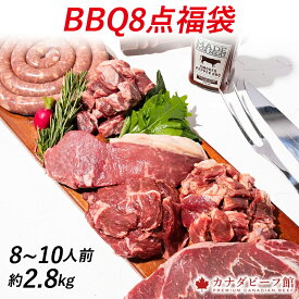 バーベキュー バーベキューセット 肉 ステーキ BBQ 食材 キャンプ 贈り物 ギフト お祝い 冷凍食品 8〜10人前 BBQ8点盛セット2.8kg お取り寄せグルメ お取り寄せ グルメ 福袋 食品