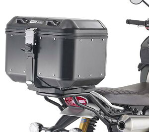 Wr(GIVI) gCAtXNu[1200 AbN MONOKEY