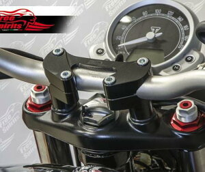 Free Spirits t@bgo[ CU[ ubN