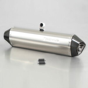 �����X(REMUS) HEXACONE �X���b�v�I�� �`�^�� EC�K�� F650/700/800GS 094882 085208