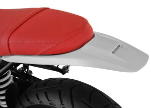 �����_�[���b�q Enduro �e�[���R���o�[�W�����L�b�g �t�F���_�[���X RnineT ���C�g�z���C�g