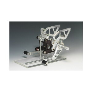 AG(AELLA) CfBOXebvLbg zCg S1000RR v~AC