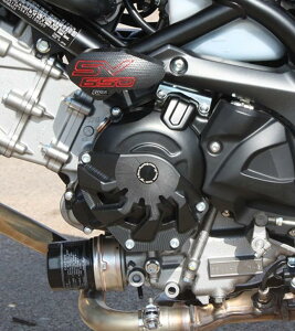�X�X�L SV650 17-20 �G���W���P�[�X�J�o�[�Z�b�g T-REX Racing