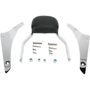 COBRA XNGAV[V[o[ ~j11" VTX1300/1800R