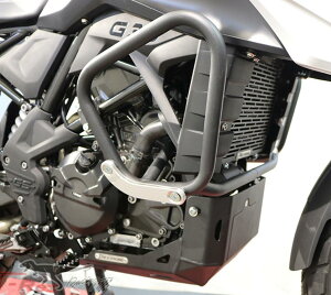 BMW G 310 R / G 310 GS 17-22�G���W���K�[�h T-REX Racing