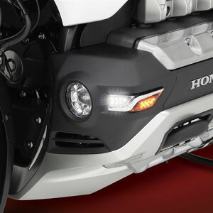 S[hECO GL1800 18- GTcA[JECg SHOW CHROME