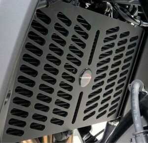 XSR900, MT-09 WG[^[OK[h bh POWER BRONZE