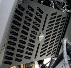 XSR900, MT-09 WG[^[OK[h }bgubN POWER BRONZE