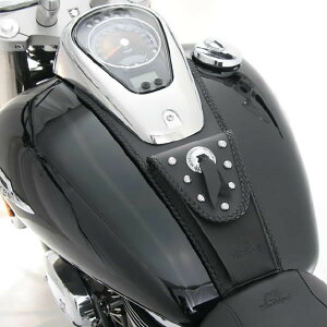 MUSTANG |[`^Nru X^bht XVS1100 V-Star