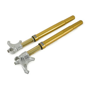 �I�[�����Y(Ohlins) ���[�h&�g���b�N�p�|���t�H�[�N YZF-R1/M MT10 FGRT 219