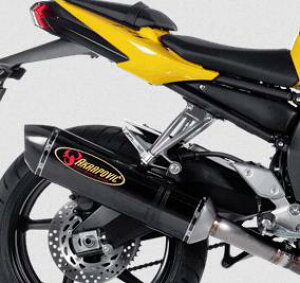 Akrapovic (AN|Bb`) XbvI}t[EECEKiEJ[{EFZ1EtFU[E06-15