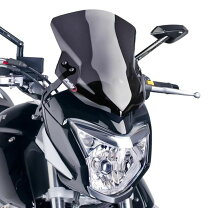 楽天市場】プーチ スクリーン gsr250の通販