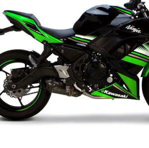 jW650/Z650 17-22 S1R ubNJ[{ tGL][Xg}t[ Two Brothers Racing