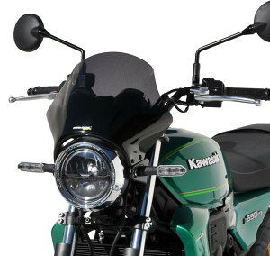 �J���T�L Z650RS 22- �i�X�e�B�X�N���[�� �A���}�b�N�X